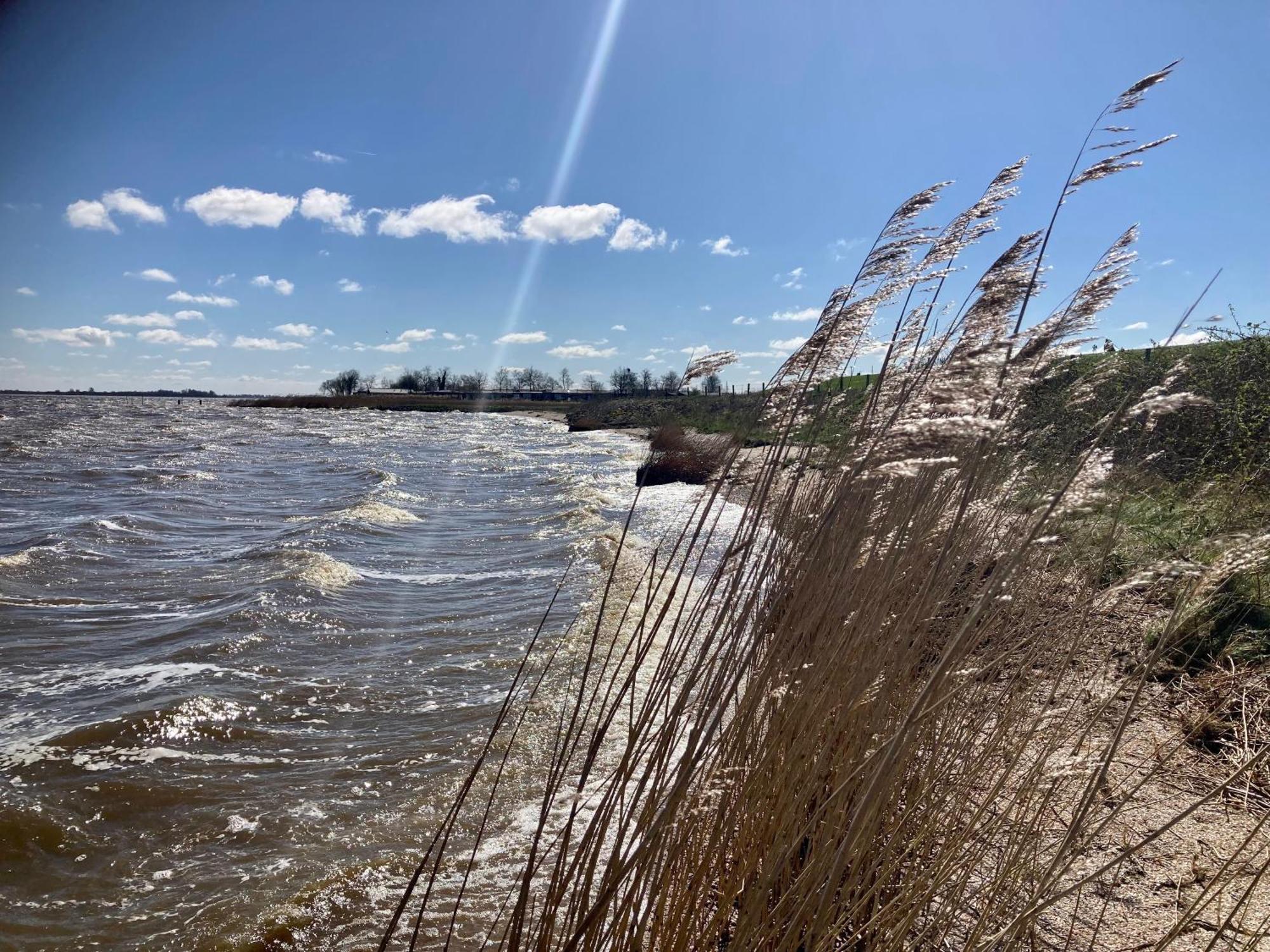 Haus Gaby direkt am Lauwersmeer Anjum Exterior foto